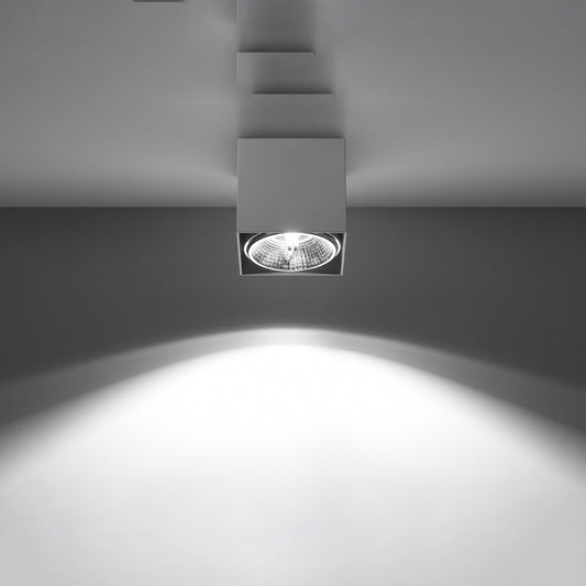 Plafonnier Modèle Arvion | Luxarmonie