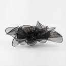 寝室用モダンブラックPVCシーリングライト – Novaluca