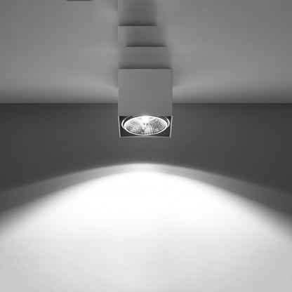 Luminária de teto Modelo Arvion | Luxarmonie