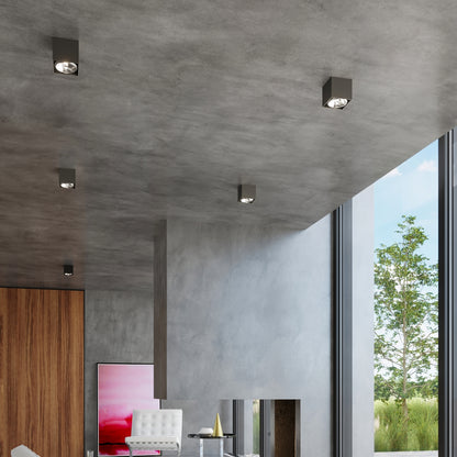 Ceiling Light Model Nerevra Photo 8 | Luxarmonie