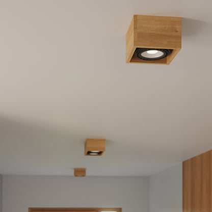 Ceiling Light Model Nordeyn | Luxarmonie