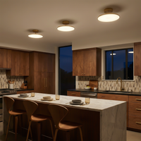 Plafonnier LED Surface Design Élégant – Vixa