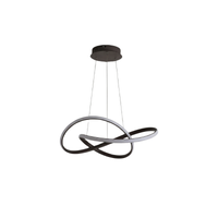 Lustre Design Organique Lumière Dynamique – Exhibition