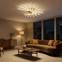 Plafonnier LED Économique Style Contemporain Multi-Teintes – Néo