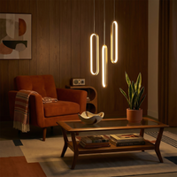 Suspension Élégante Duo & Solo Ambiance Stylée – Radiant