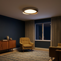 Plafonnier moderne en fer pour éclairage intérieur – Arion