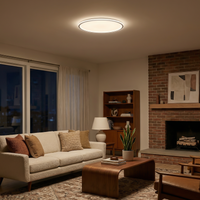 Plafonnier Élégant Sobre et Technologie LED – Moderne