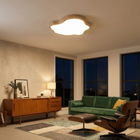 Plafonnier LED Tendance Éco-Responsable – Nubéa