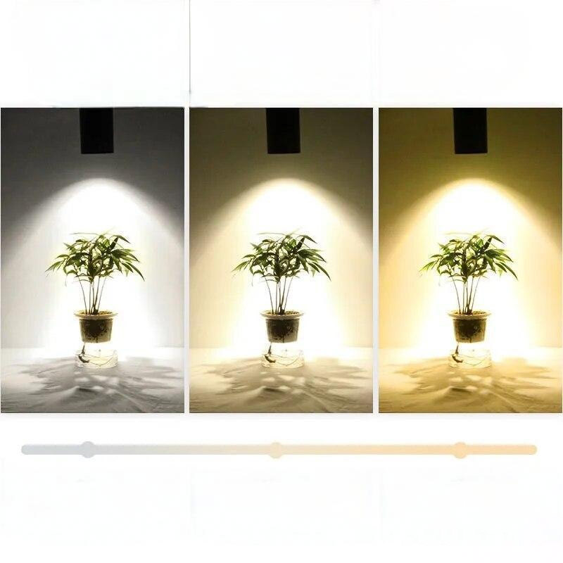 Rail d’Éclairage Polyvalent pour Salon et Bureau – Spot LED