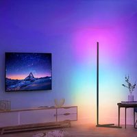 Lampadaire LED RGB à Effets Lumineux Multicolores – Color