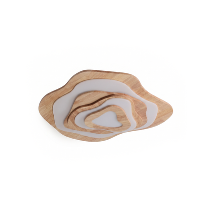 Natural Wood Ceiling Light & LED Acrylic – Miraë